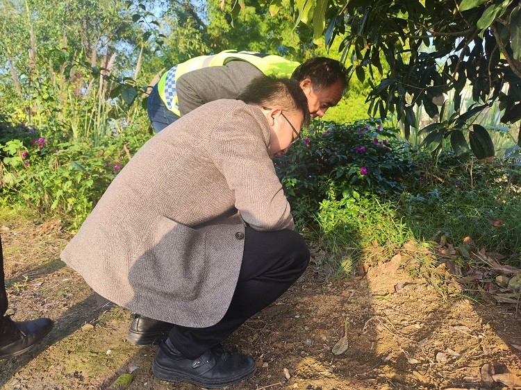 照片1.jpg